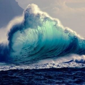 Meet your Posher, Bella